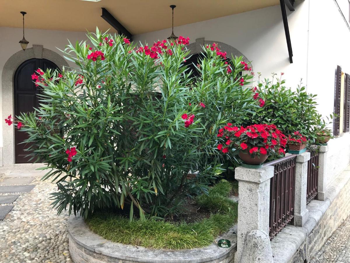 Villa Ombrosa Nebbiuno Exterior foto